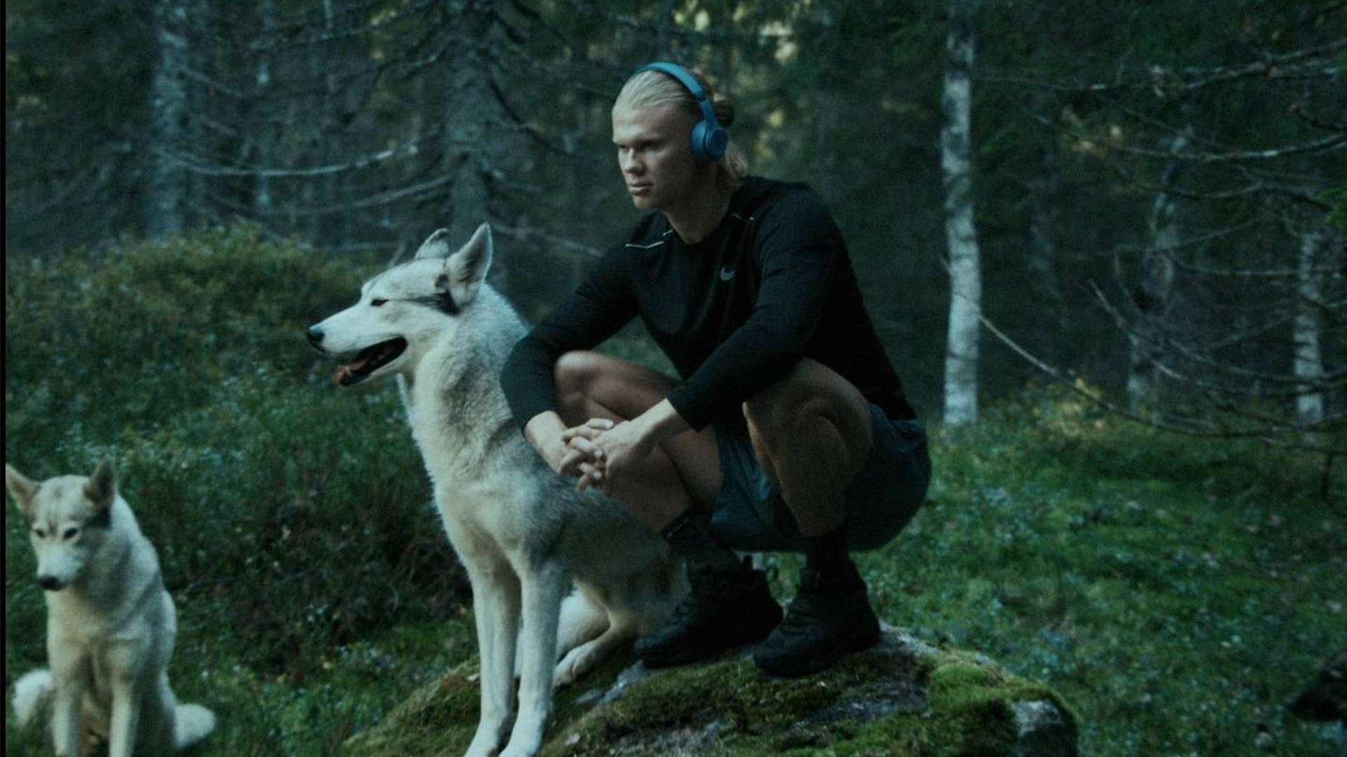 Truls